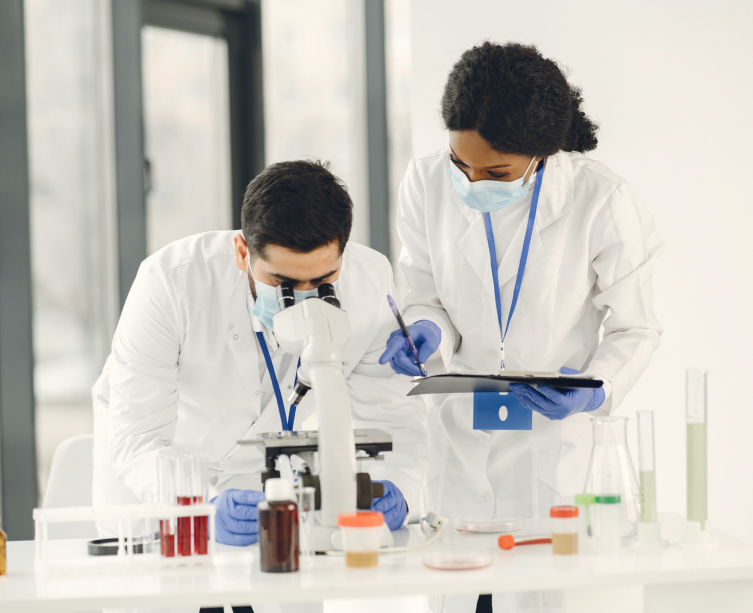 International Research Collaboration